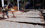 Công nhận nghề làm bánh tráng Mỹ Lồng là di sản văn hóa quốc gia