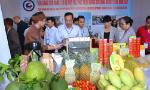 Chờ gì ở CPTPP?