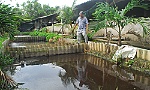 Môi trường chăn nuôi trong xây dựng nông thôn mới