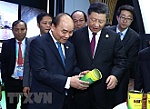 Kết quả chuyến tham dự CIIE 2018 của Thủ tướng Nguyễn Xuân Phúc