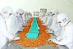 Tham vấn cơ chế liên kết vùng ở ĐBSCL