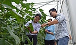 Hỗ trợ nông dân ứng dụng công nghệ cao vào sản xuất nông nghiệp