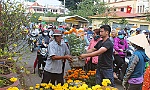 Tổ chức Chợ hoa xuân TP. Mỹ Tho năm 2019 tại 2 địa điểm