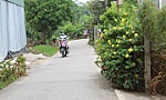 Xã Đông Hòa Hiệp: Hòa thiện tiêu chí nông thôn mới