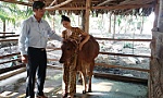 Hiệu quả tích cực trong công tác giảm nghèo