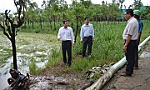 Bằng mọi giá cứu lúa, hạn chế tối đa thiệt hại cho người dân.