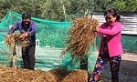 Chị Vân và nỗ lực vượt khó để phát triển kinh tế