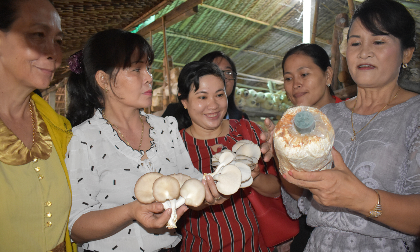 Chị ĐồngThị Thu Hoài, Giám đốcHTX Trường Phát hướng dẫn trồng nấm bào ngư