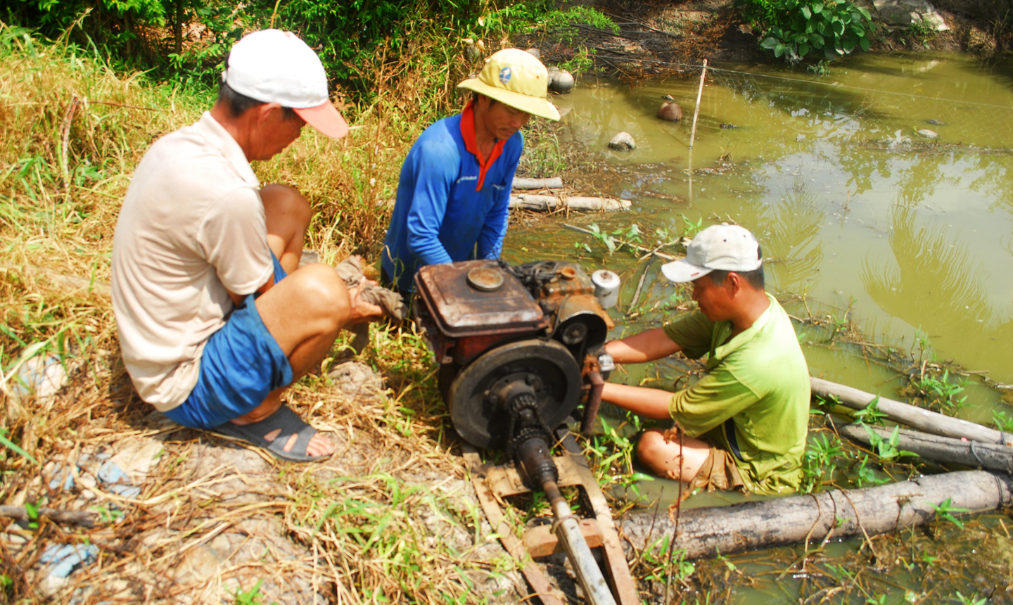 Người dân ở các huyện, thị phía Tây đặt máy để bơm hút nước trên đồng.