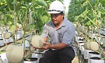 Xây dựng nông thôn mới đang đi đúng hướng