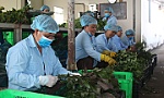 Bài 1: HTX nông nghiệp còn nhiều khó khăn