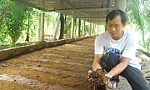 Khởi nghiệp bằng nuôi trùn quế