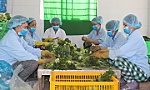 Bài 3: Phát triển HTX gắn với xây dựng nông thôn mới