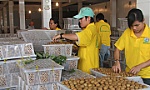 Xuất khẩu xoài, nhãn: Vấn đề ở khâu sản xuất