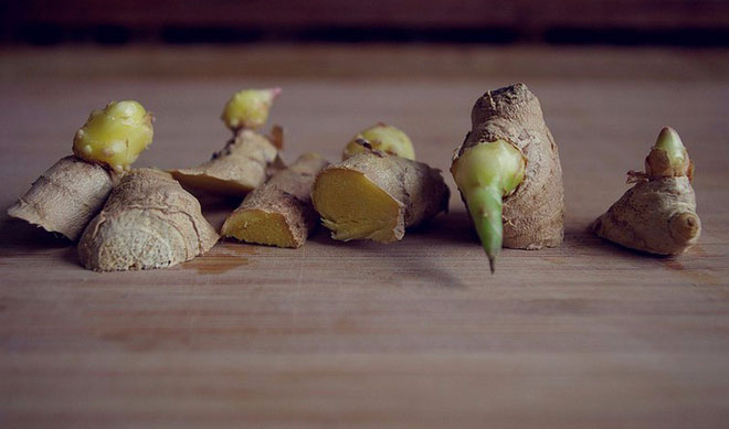 Gừng mọc mầm không còn giá trị dinh dưỡng nữa.