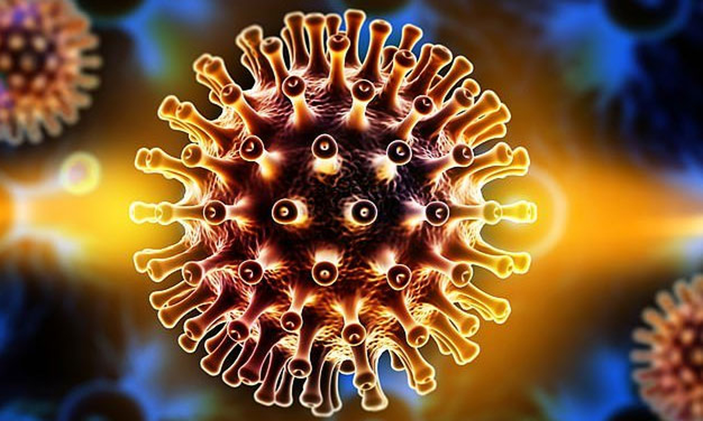 Virus HIV có xu hướng nhắm vào những tế bào có hoạt động trao đổi chất cao.