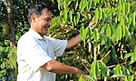 Chuyện về một thầy giáo làm kinh tế giỏi