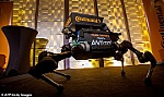 CES 2019: Sắp đến thời chó robot giao hàng thay cho con người?