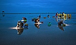 Tác phẩm 