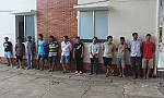 Bắt 13 đối tượng đá gà ăn thua bằng tiền