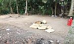 Nam thanh niên tử vong nơi đá gà do xuất huyết não