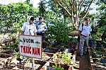 Tiền Giang: Trên 2 triệu lượt người chữa bệnh bằng Đông y