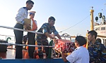 Xuân bên đồng đội