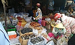 Thị trường tết: Thực phẩm khô hút hàng