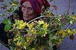 Đường về quê ăn tết của tôi: 'Mua cho con gái tui đó cô!'