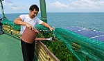 Bài 2: Phát huy sức trẻ theo lời Bác dạy