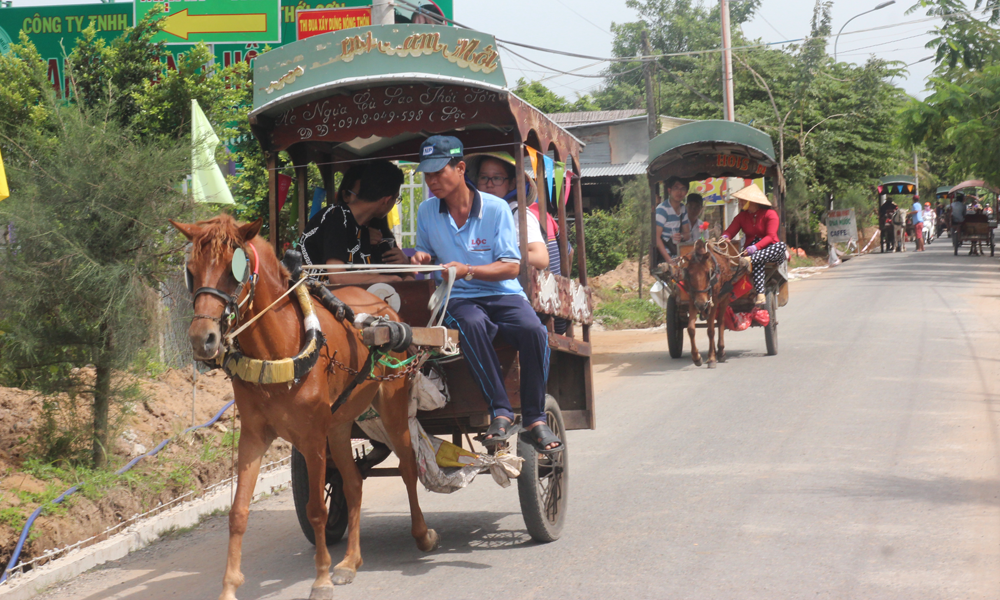 Nhìn chung, lượng khách du lịch đến TP. Mỹ Tho trong dịp năm mới có tăng hơn so với năm 2018. 