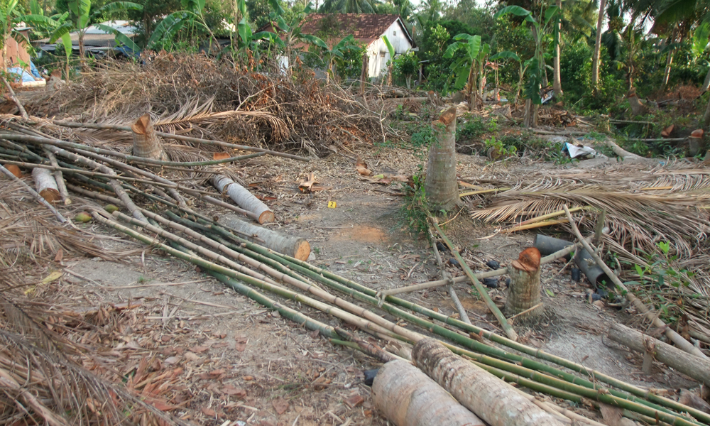 Khu vực nơi anh T. nằm bất tỉnh.