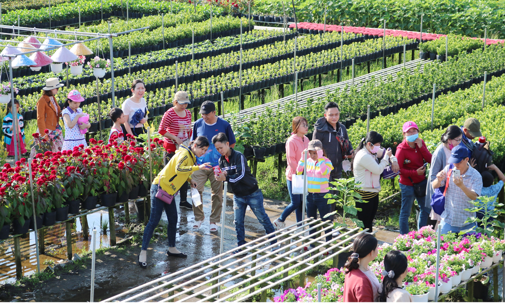 Xem lại khoảnh khắc.