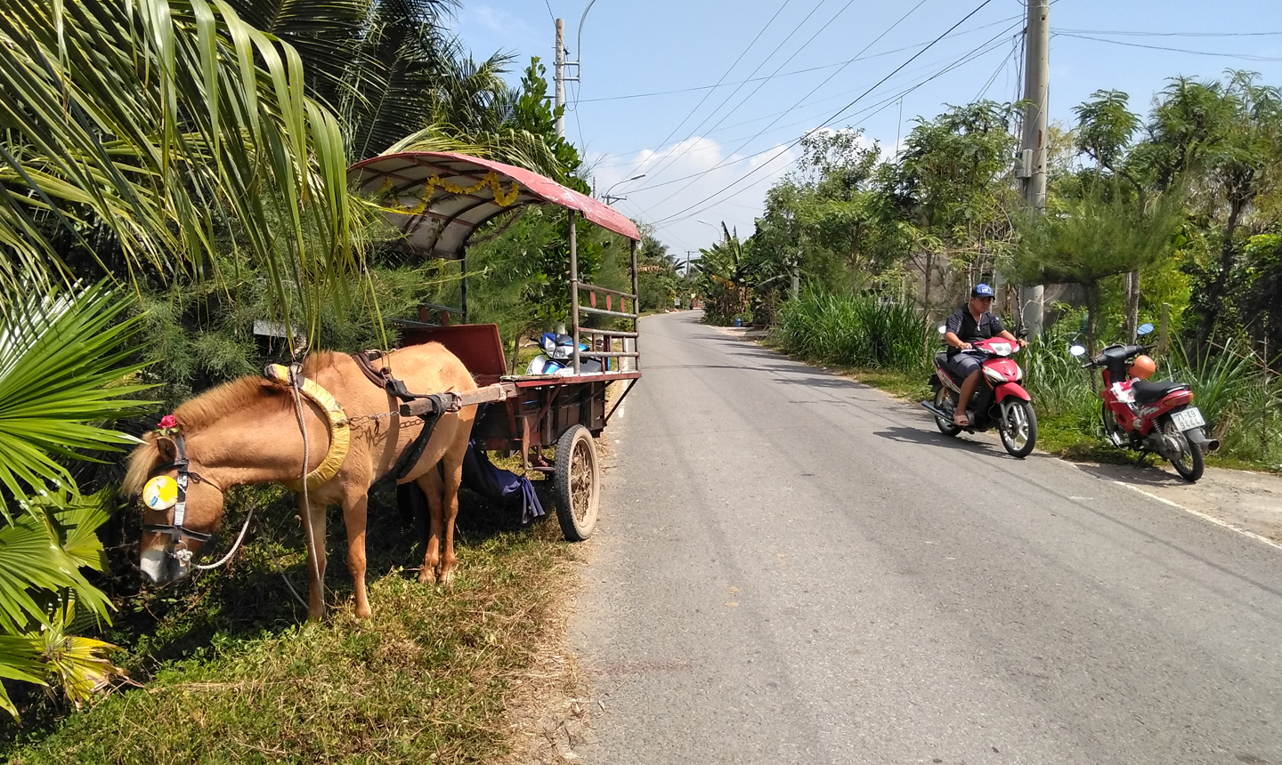 Hiện trường vụ tai nạn.
