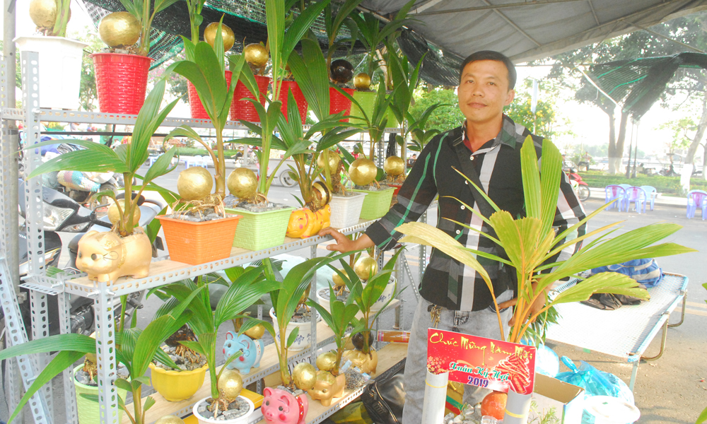 Dừa bonsai được bày bán với giá 300 ngàn đồng/cây.