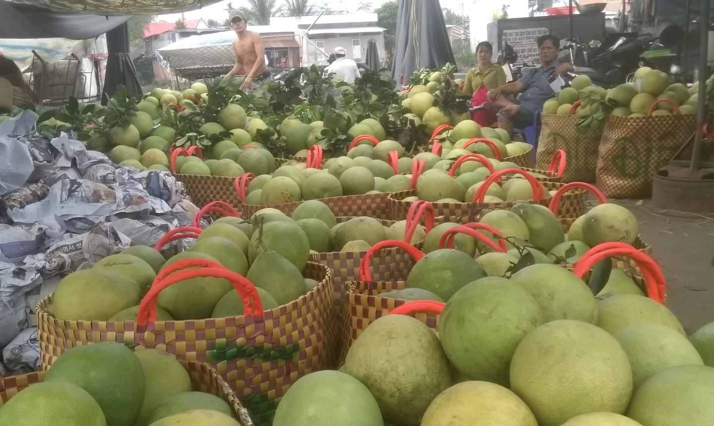 Trái cây tết ở chợ Vĩnh Kim.