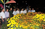Cái Bè: Khai mạc đường hoa mừng xuân mới