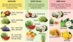 Mâm ngũ quả ba miền Bắc-Trung-Nam có điểm gì khác nhau?