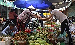 Sau tết, giá nhiều loại nông sản, thực phẩm vẫn ở mức cao