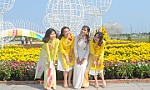Xuân Kỷ hợi 2019: Nhộn nhịp khách du xuân