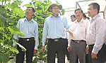 Thăm các hợp tác xã, cơ sở sản xuất nông nghiệp công nghệ cao