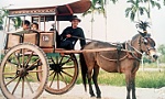 Xe ngựa Gò Công