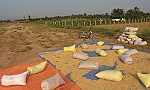 Ngổn ngang trên cao tốc Trung Lương - Mỹ Thuận