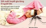 Số ca mắc sốt xuất huyết đang gia tăng ở người lớn