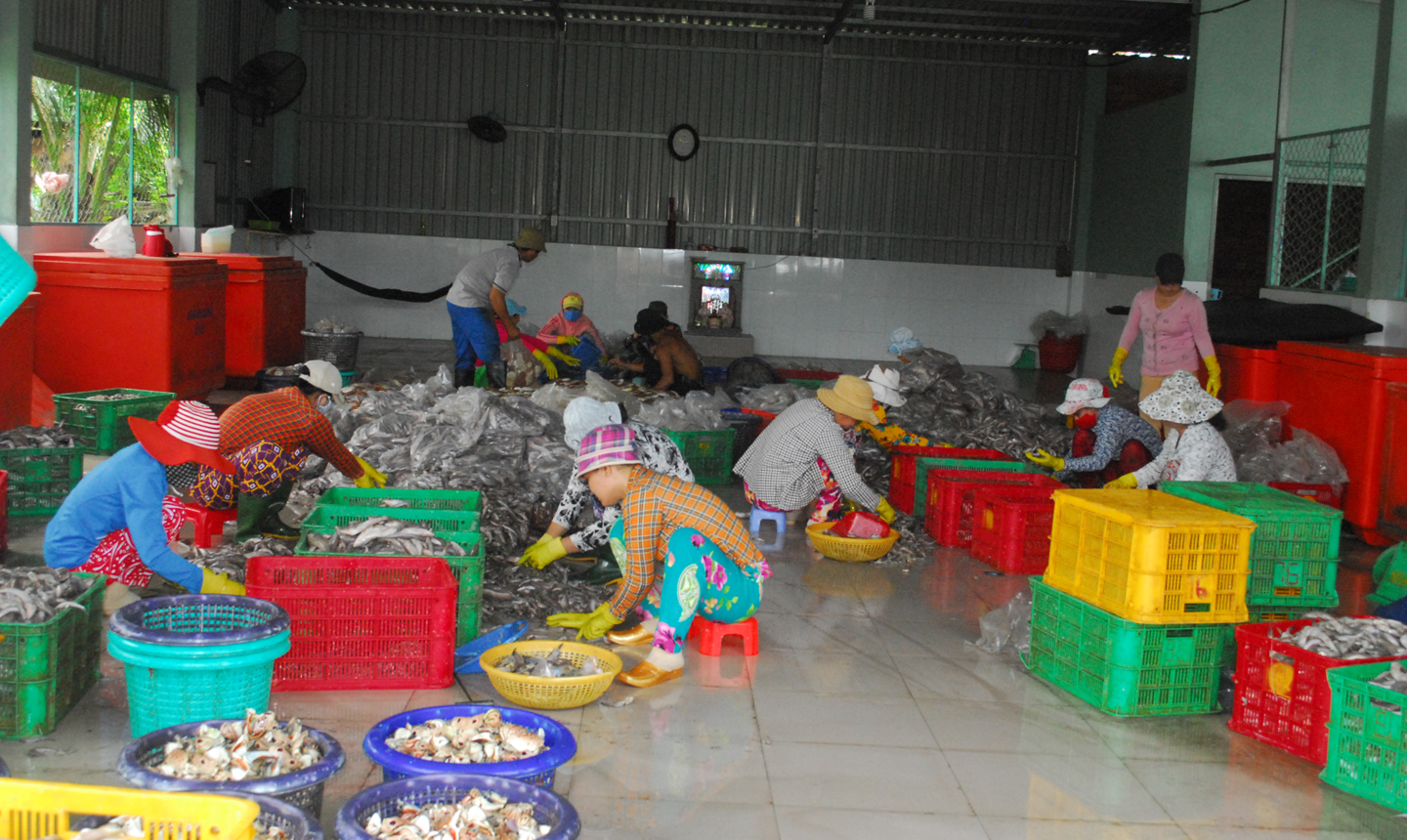 Công việc gấp rút tại một công ty hải sản trên địa bàn thị trấn Vàm Láng vào những ngày cuối năm.