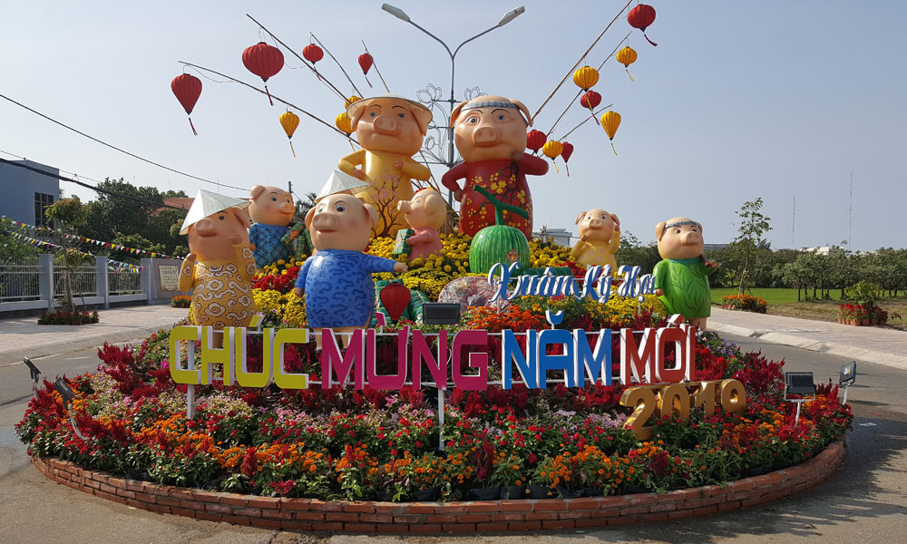 Gia đình heo ở Đường hoa huyện Gò Công Đông.