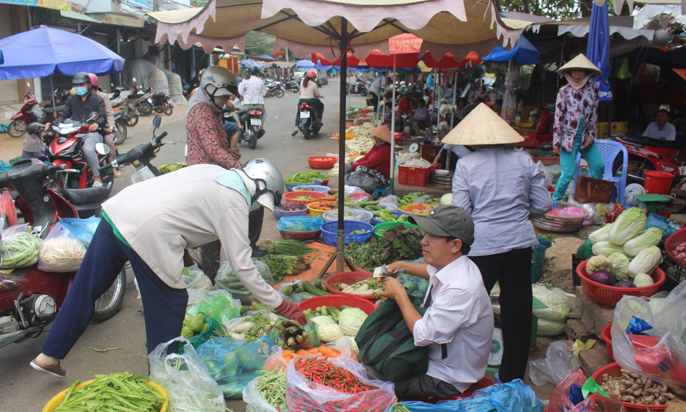 Nguồn cung các loại rau, củ đang khá dồi dào.