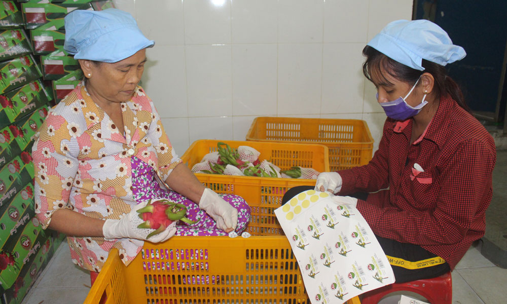  Năm 2019, tỉnh sẽ tập trung đẩy mạnh phát triển kinh tế tập thể.