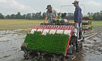 Trình diễn máy sạ hàng kết hợp vùi phân bón