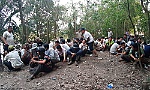 Gò Công Đông: Triệt phá trường gà lớn trong rừng tràm